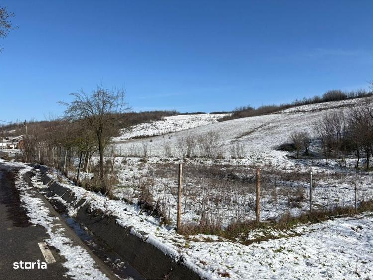 Teren intravilan 1.000 mp imprejmuit Luncsoru, comuna Ghercesti - 4