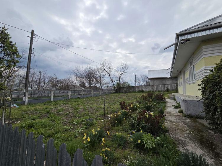 Casa de vanzare Berezeni Vaslui - 3