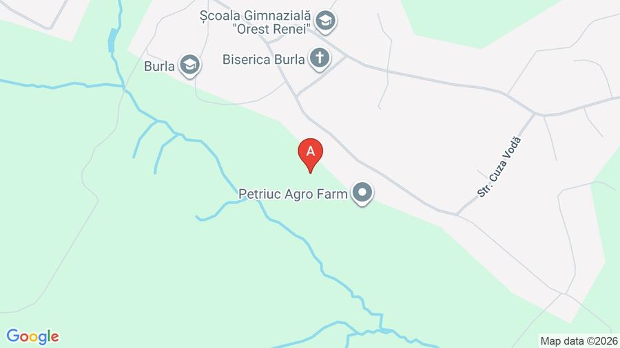 Vand teren intravilan in Burla peste drum de biserica ortodoxa - 1