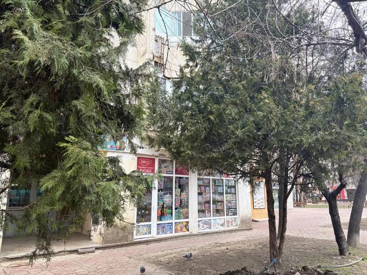 Spa?iu comercial prin destinatie, 28 mp, Parcul Esplanada Nicolina, Ia?i - 3