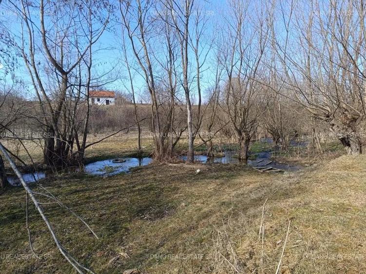 Comision0% - Bran Sohodol vedere spre Piatra Craiului Teren intravilan 5967mp+teren bonus - 12