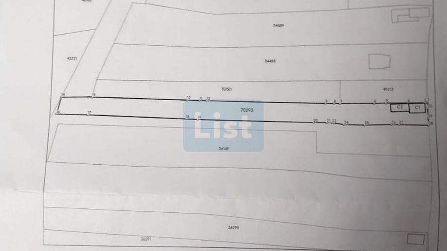 Casa + teren 3.006 mp – intravilan + extravilan | Preajba Mare - 2