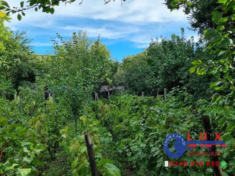 ID 6736 Teren cu casa - DE VANZARE - 11
