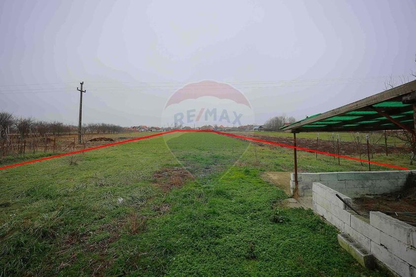 Casa cu teren de 3474 mp in Sannicolau Roman - 15