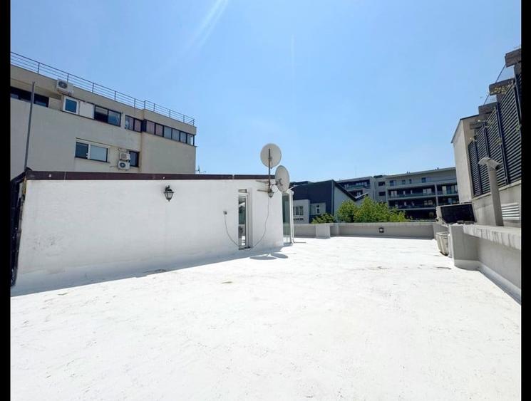 Vilă elegantă –  Herăstrău – Pretabilă clinică, grădiniță, ambasadă, resedinta - 17