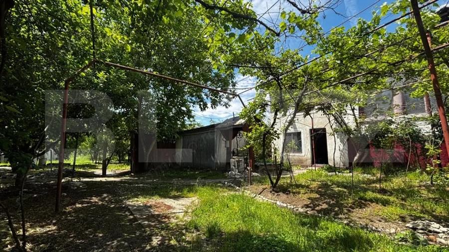 Proprietate cu 2 case, 3.345 mp teren, Balota de Jos, comuna Murga?i - 2
