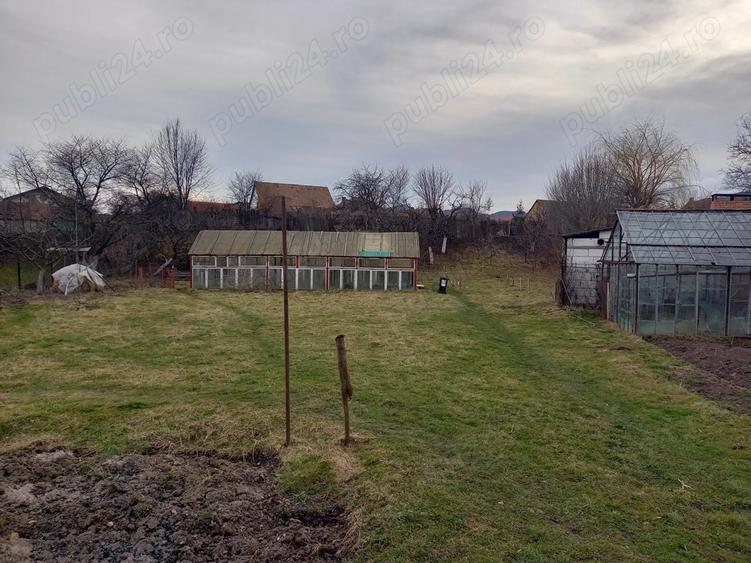 Particular, vand casa + teren de 2200m2 in Zarne?ti, Tohanul Vechi - 4