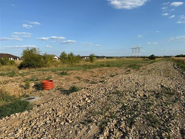 RECO Teren Intravilan Osorhei - 1