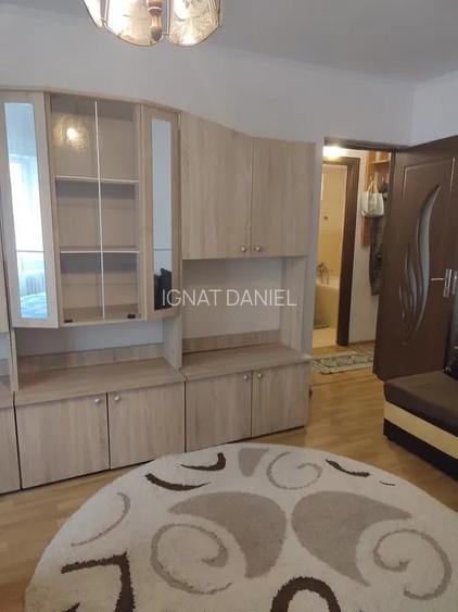 Apartament cu 1 camera, decomandat, zona Nicolina -Salciilor