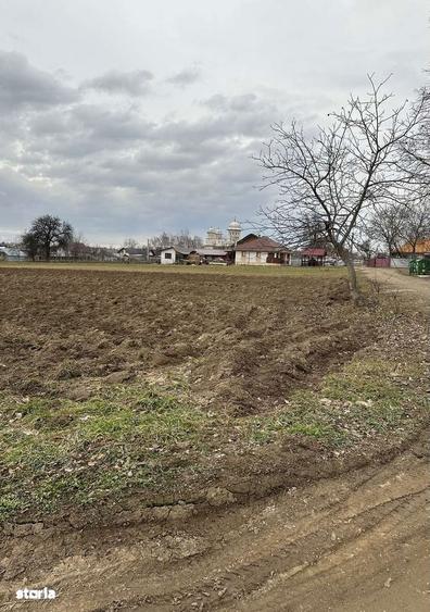 Teren intravilan in Mitoca?i - 2