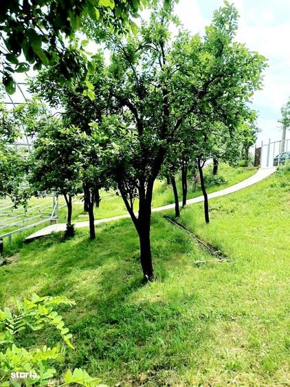 Ansamblu reziden?ial 5 case de vacan?a in Plaiu Campinei, Prahova - 1