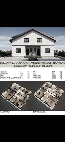 Casa Mosnita Veche in sat - 1