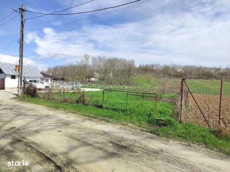 Vand teren 2 km de Mioveni - 4