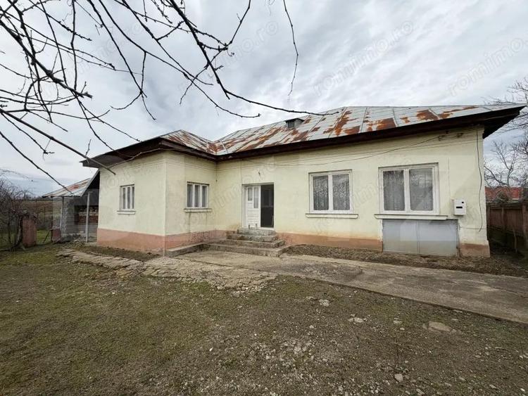 Casa pe parter, 115 mpc, 4505 mp teren, Bogea-Almaj - 1