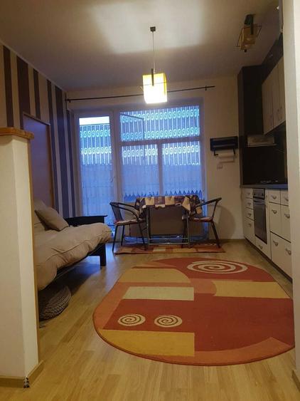 Apartament cu 1 camera de inchiriat, spatios, complet utilat Calea Baciului / Baciu / blocurile de deasupra de Pet - 2