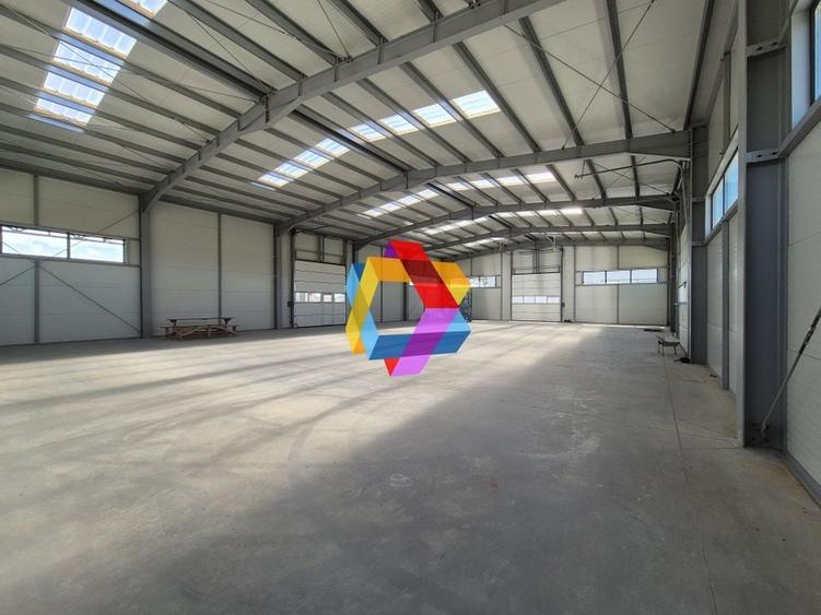 Hala - 1400 mp  # plus-imo.ro - 22