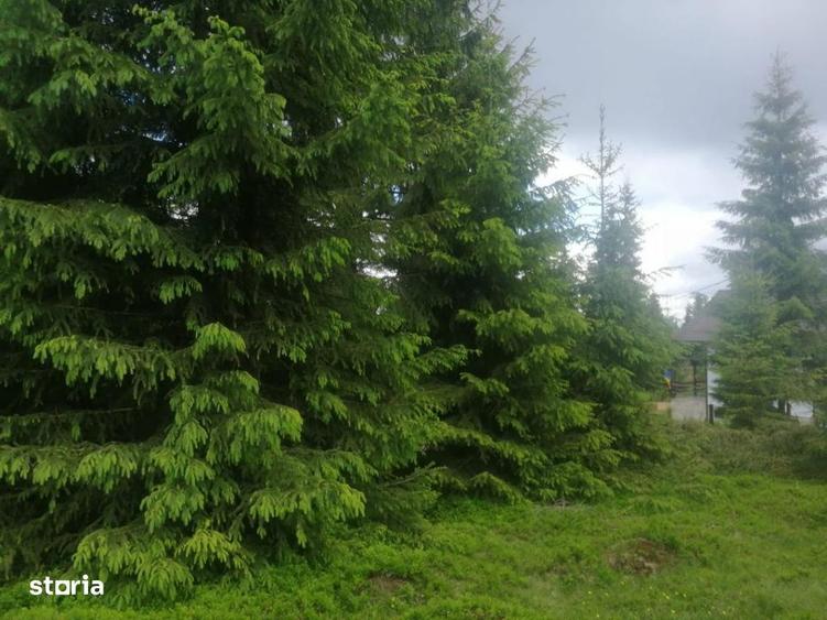 Teren de vanzare Belis1300mp Strada principala Intravilan - 4