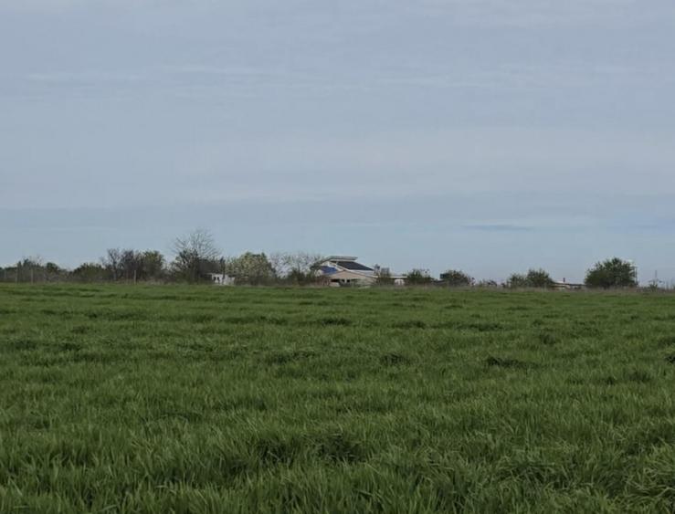 Vanzari terenuri in Agigea zona Golful Pescarului - 1