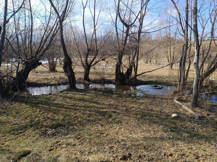 Comision0-Bran Sohodol vedere spre Piatra Craiului Teren intravilan 5967mp+bonus - 4