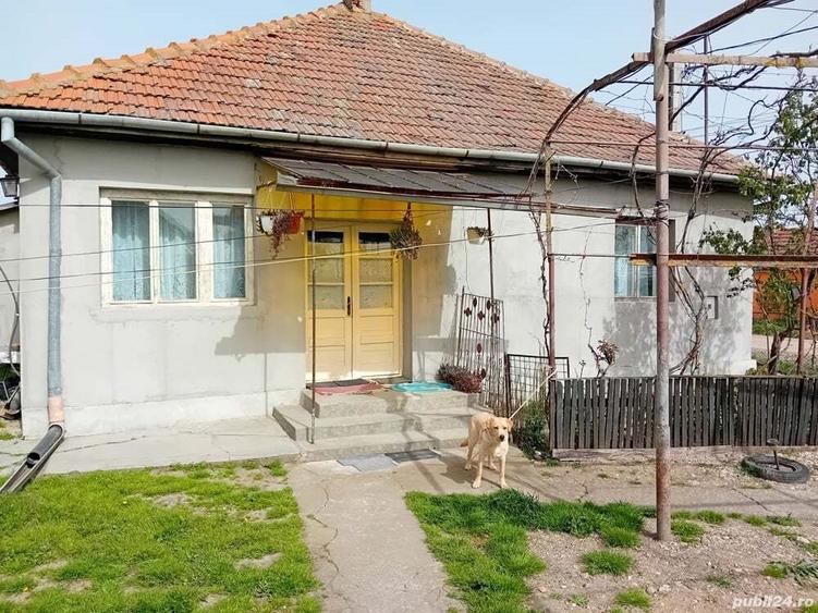 Casa de Vanzare - 5