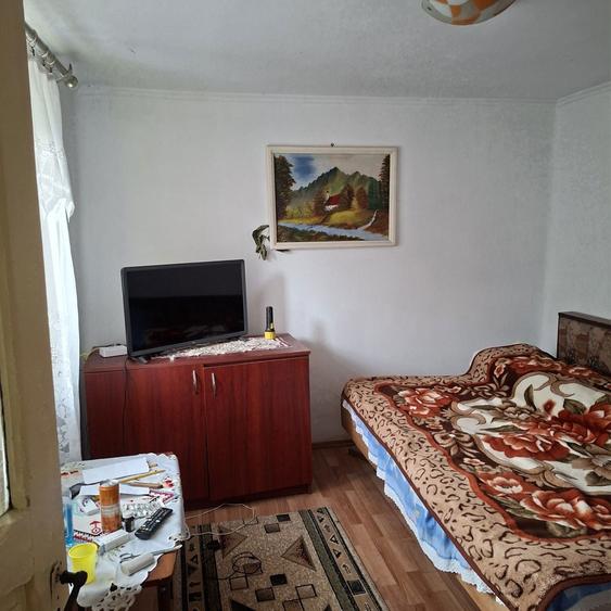 Casa batrineasca de vinzare - 8