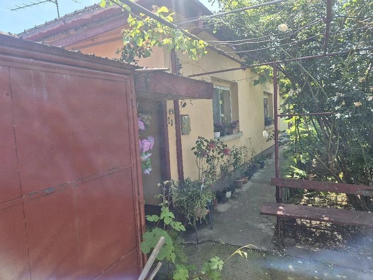 casa de vanzare in cartier plopi timisoara - 8