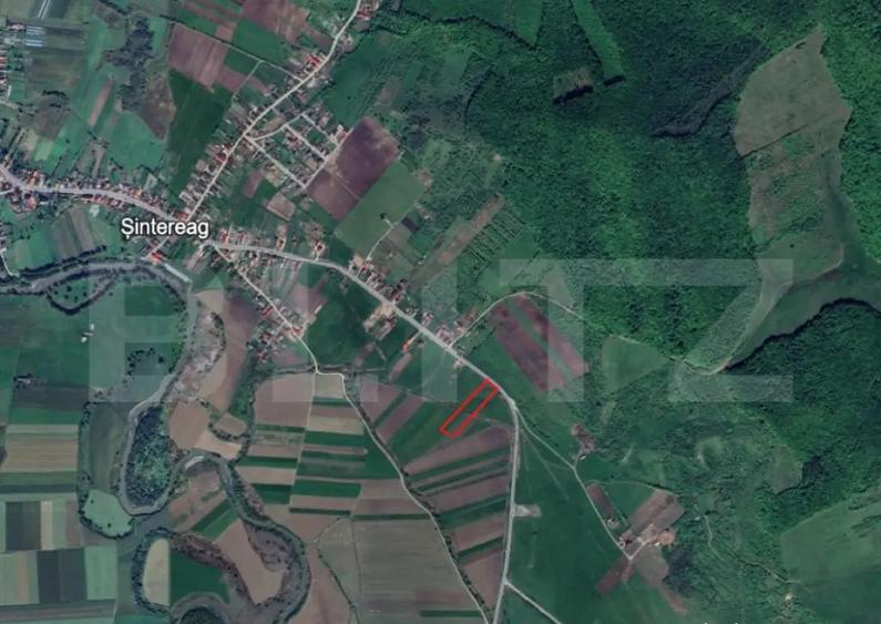 Teren in Sintereag, 1.3 hectare - 3