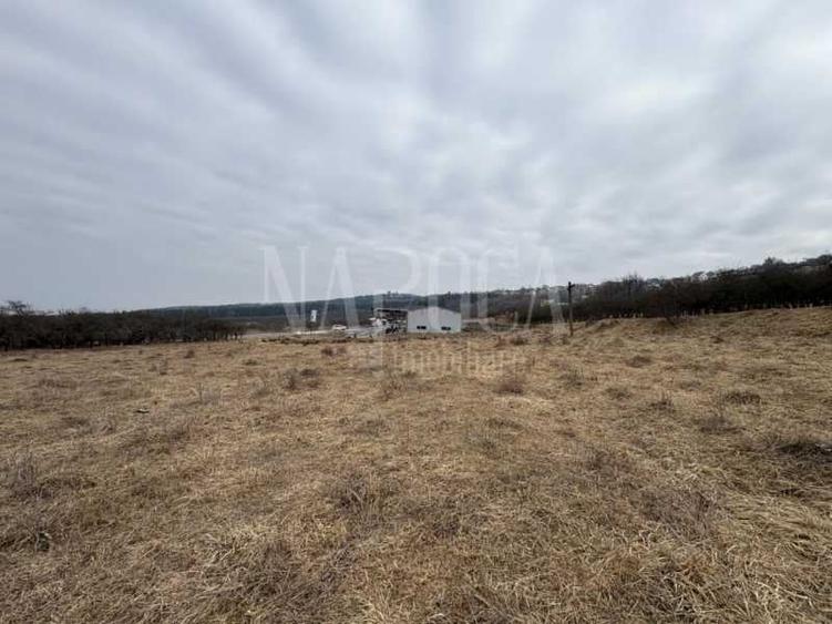 Teren intravilan pentru constructii de vanzare in Feleacu - 2