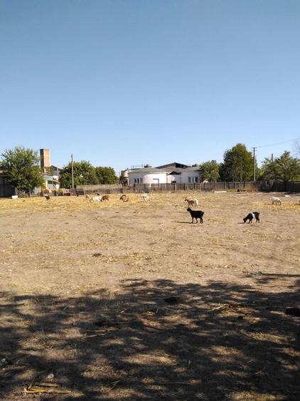 Teren intravilan generos - 2