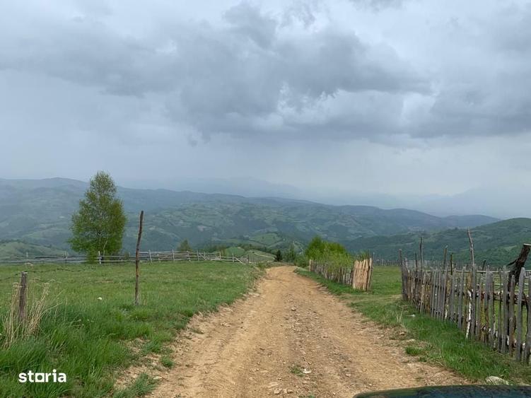 Proprietar vand teren extravilan 2ha, PANORAMA SUPER, Poiana Marului - 4