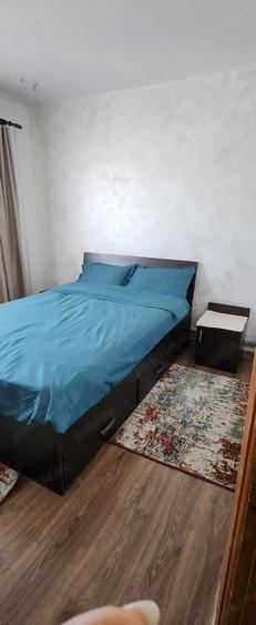 Apartament 2 camere ultracentral TG-JIU de inchiriat - 9