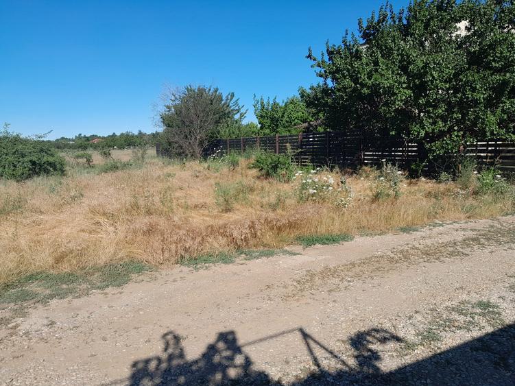 TEREN  INTRVILAN DRAGOMIRESTI - 6