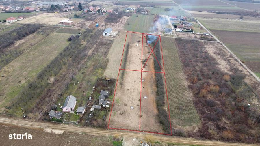 Teren cu utilitati si proiect casa Viile Satu Mare - 5