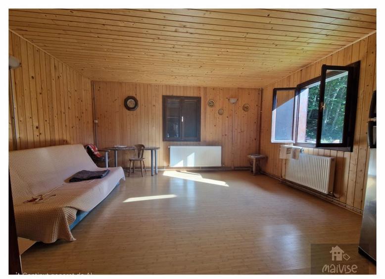 Casa de vacanta!!! Valea Bozom- Apata - 12