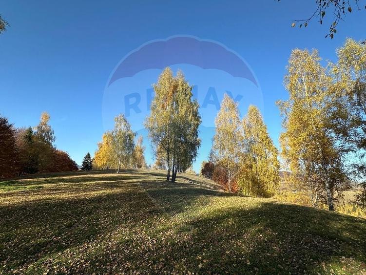 Oportunitate de investiție ! Teren de vis în Pestera - 125.370 mp - 7