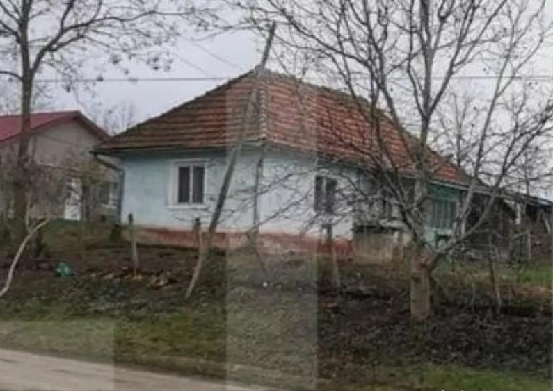 Investitie ! Casa individuala 1 camera, 51 mp, 3000 mp teren - 5