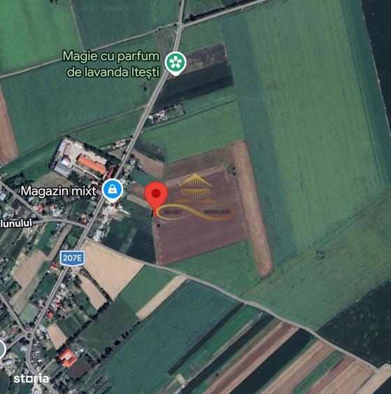 Teren agricol extravilan in Itesti de vanzare - 5