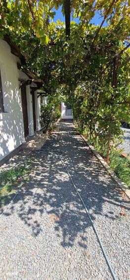 Corbu - Casa de vacanta pe malul Marii Negre - 4 camere - 2