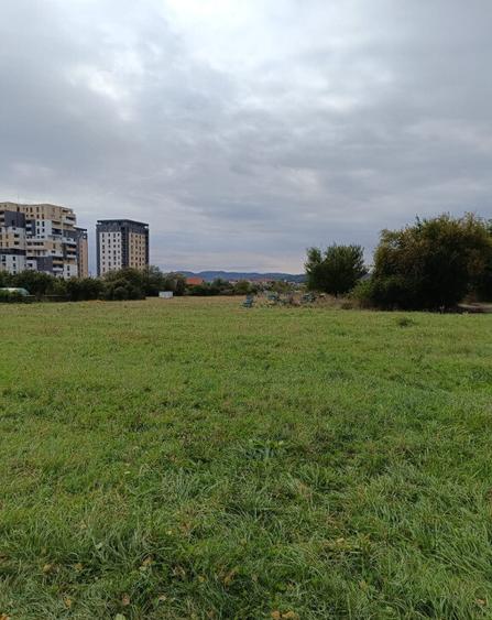 Teren intravilan 8000 mp , DR.D.Vechi - 9