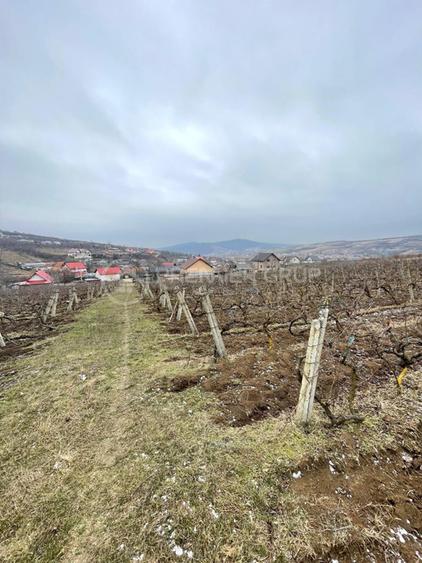 Teren intravilan 2.617mp, Chicerea, comuna Tomești - 3