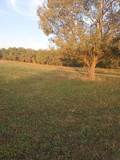 De vânzare teren extravilan langa Arcus - 7