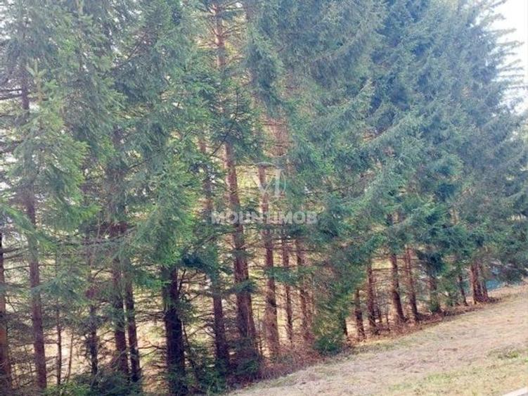 Teren intravilan în Poiana Brașov, strada Poiana Ruia - 5