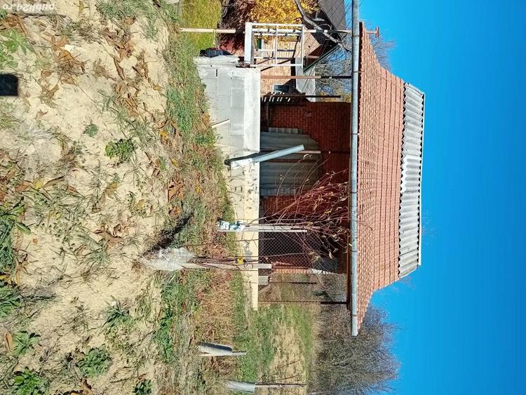 vand cabana cu beci in loc. Zauan - 2