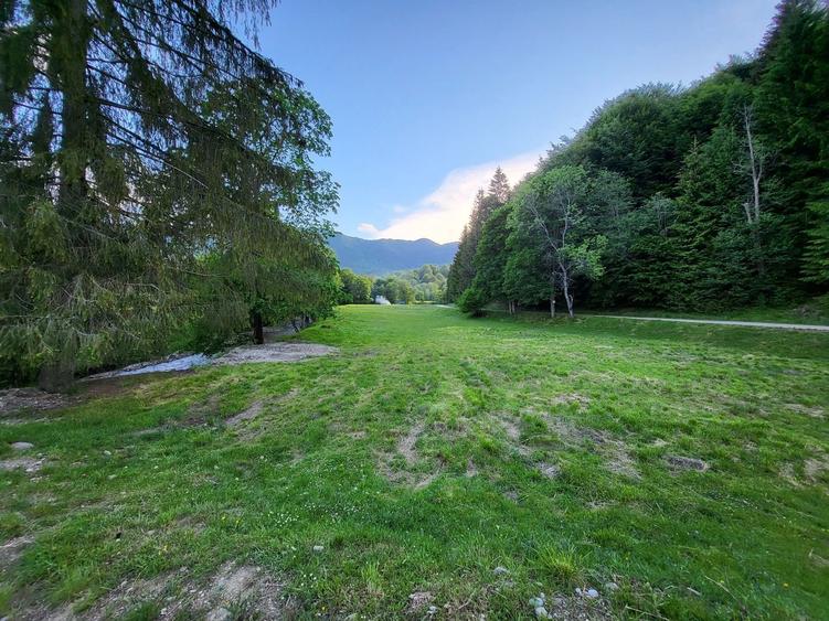 Teren de 12.000 mp la Vama Buzăului – Locație de Vis cu PUZ Aprobat - 9