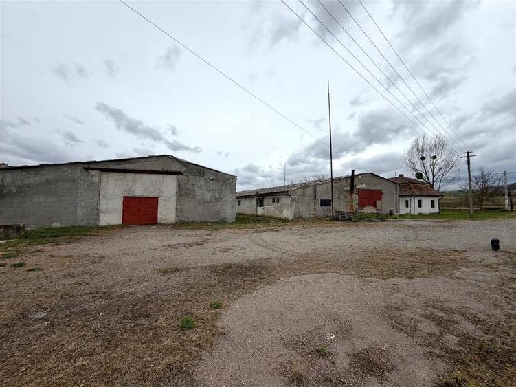HALE INDUSTRIALE | CLADIRE BIROURI | TEREN 7000 MP | GHEGHIE BIHOR - 1