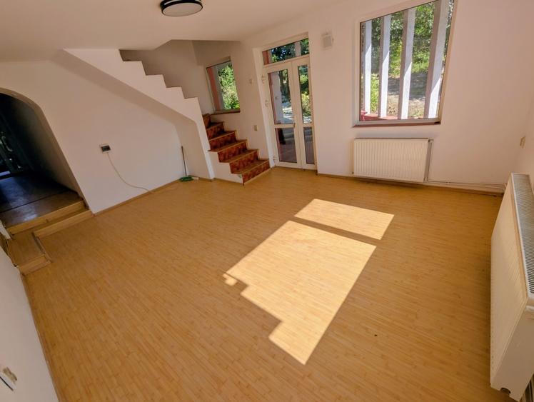 Casa individuala 5 camere P+M 196 mpt + 1200 mp teren asfalt - Horlesti (Rediu) - 5