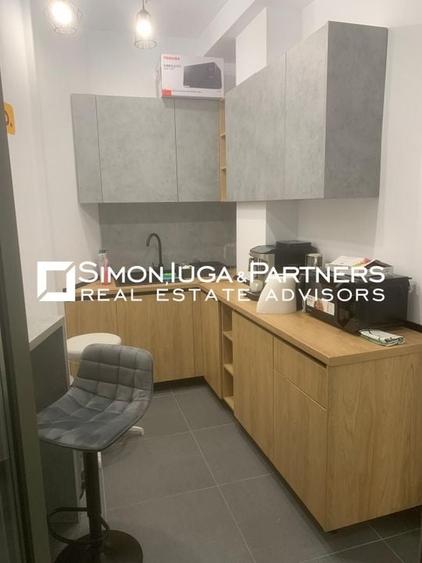 Birouri de inchiriat Brancusi - 11