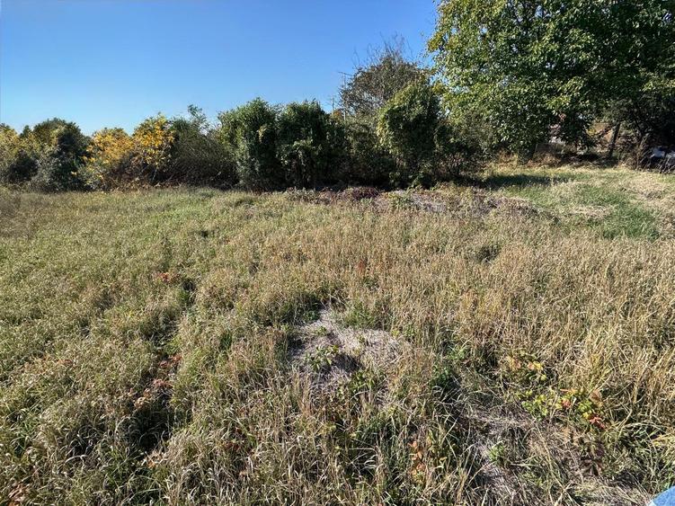 Oferta! teren in zona Mehala - 1