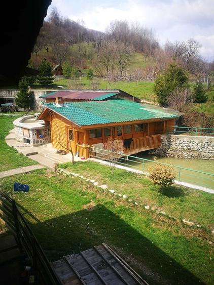 Domeniu privat 6 ha cu lac pastravarie vila cu parter, etaj si demisol - 6