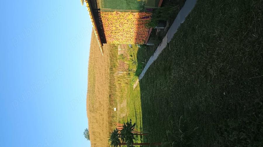 Teren de 1800 mp, în Gădălin